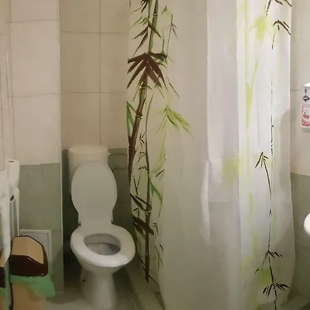 Pensiune Da Boss Costineşti